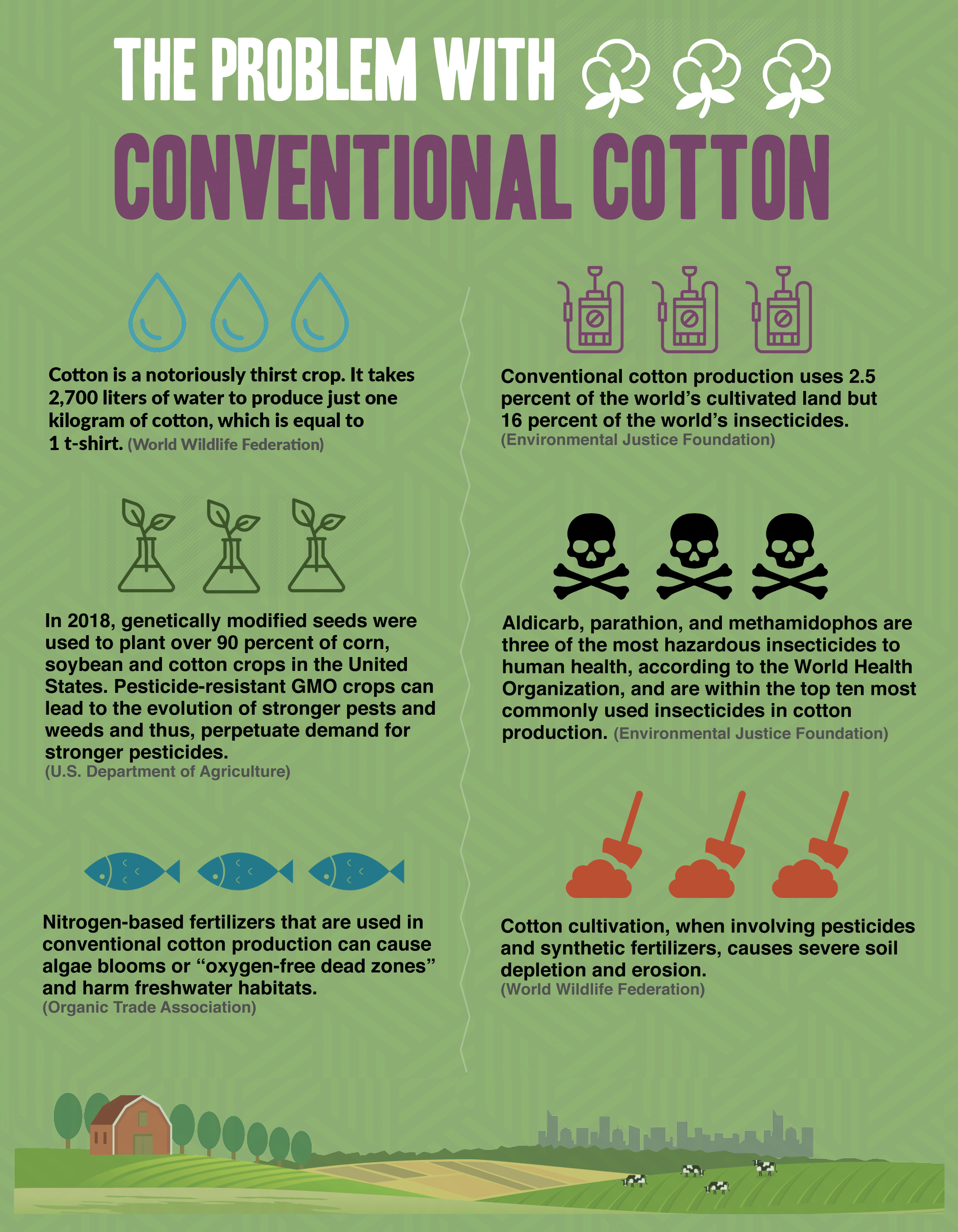 Regenerating Cotton Solutions Green America